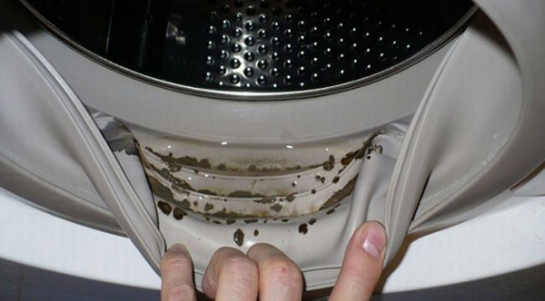 Cleaning Washing Machine1 1
