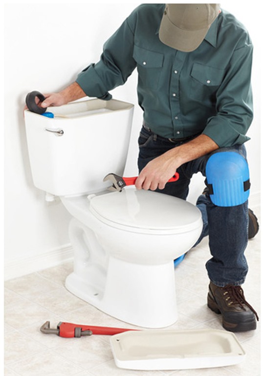 Toilet Repair 1