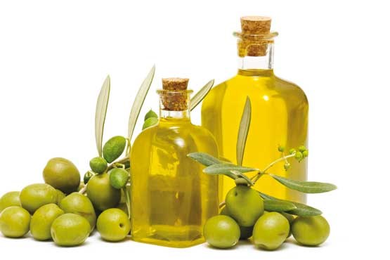 محل نگهداری روغن زیتون
