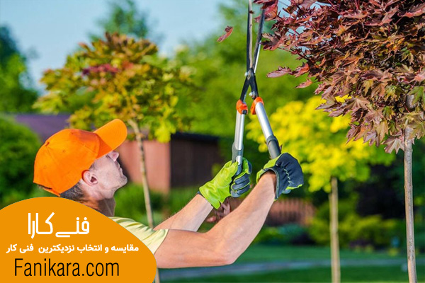نگهداری و هرس درختان، دریافت خدمات باغبانی در منزل