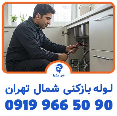 عغعغکس فنیکارا لوله بازکنی شاخص 2