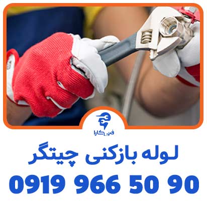عکس فنیکارا شاخص 11 2