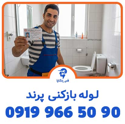 عکس فنیکارا شاخص1 1 2