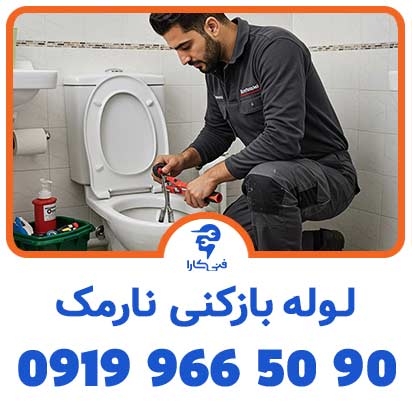 عکس فنیکارا لوله بازکنی شاخص 1 2