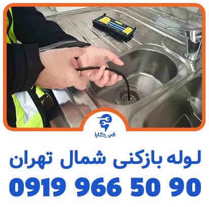 عکس فنیکارا لوله بازکنی شاخص 3 2