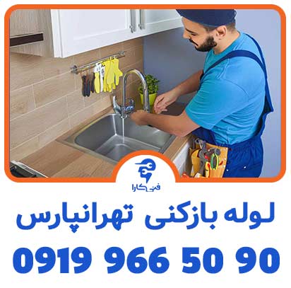 عکس فنیکارا لوله بازکنی شاخص 4 2