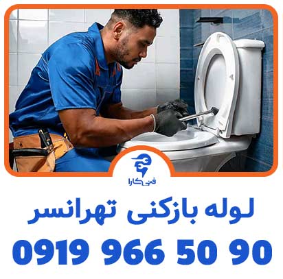 عکس فنیکارا لوله بازکنی شاخص 5 2