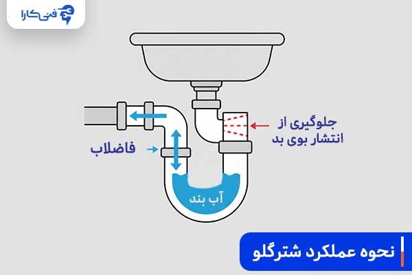نحوه-عملکرد-شترگلو