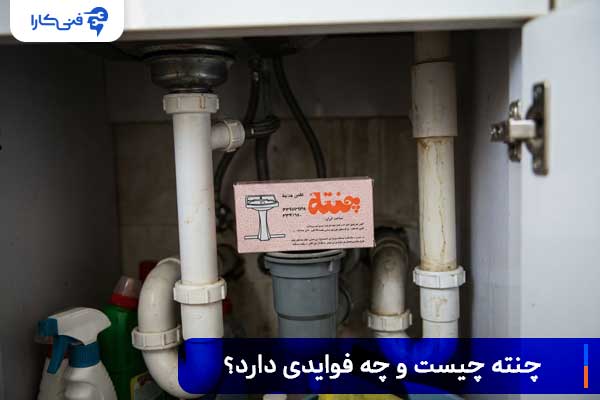 پودر چنته چیست و چه فایده ای دارد