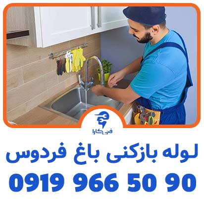 عکس فنیکارا شاخص 1 2