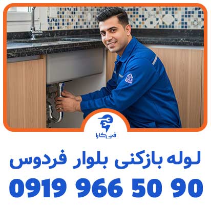 عکس فنیکارا شاخص 14 2
