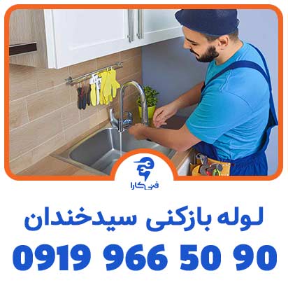 عکس فنیکارا شاخص 6 2