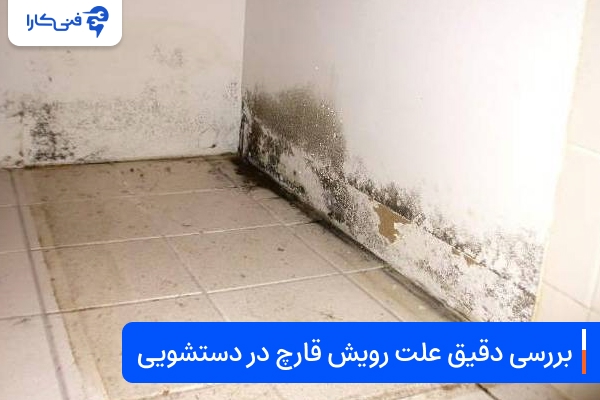 بررسی دقیق علت رویش قارچ در دستشویی