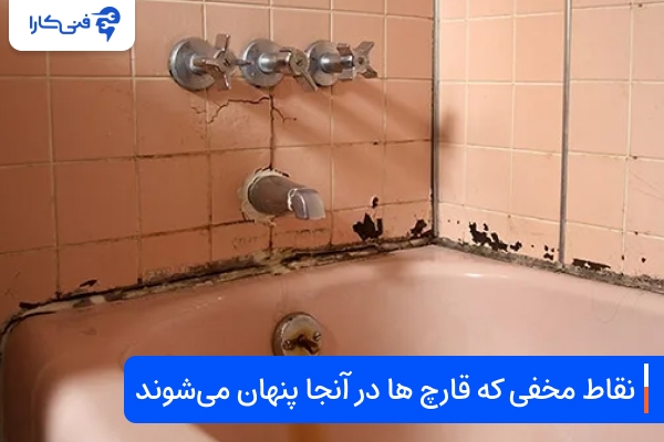 نقاط مخفی که قارچ‌ها در آنجا پنهان می‌شوند
