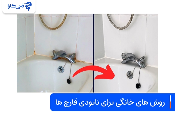 روش‌های خانگی و طبیعی برای نابودی قارچ‌ها در سرویس بهداشتی و حمام