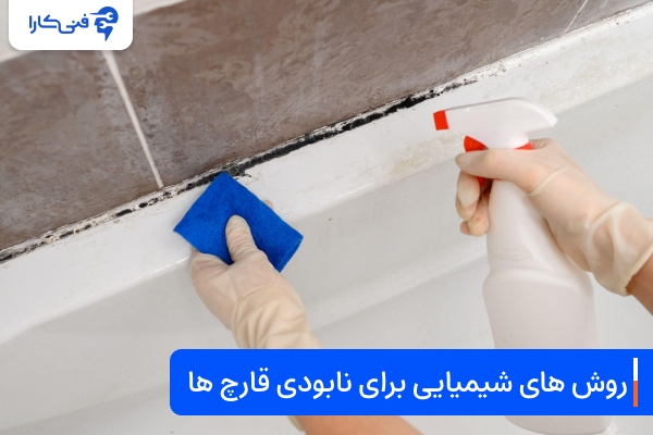 روش های شیمیایی برای نابودی قارچ‌ها در دستشویی و حمام