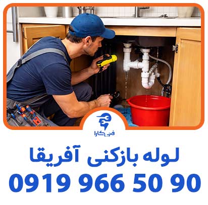 عکس فنیکارا شاخص 3 2