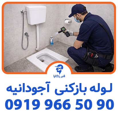 عکس فنیکارا شاخص 8